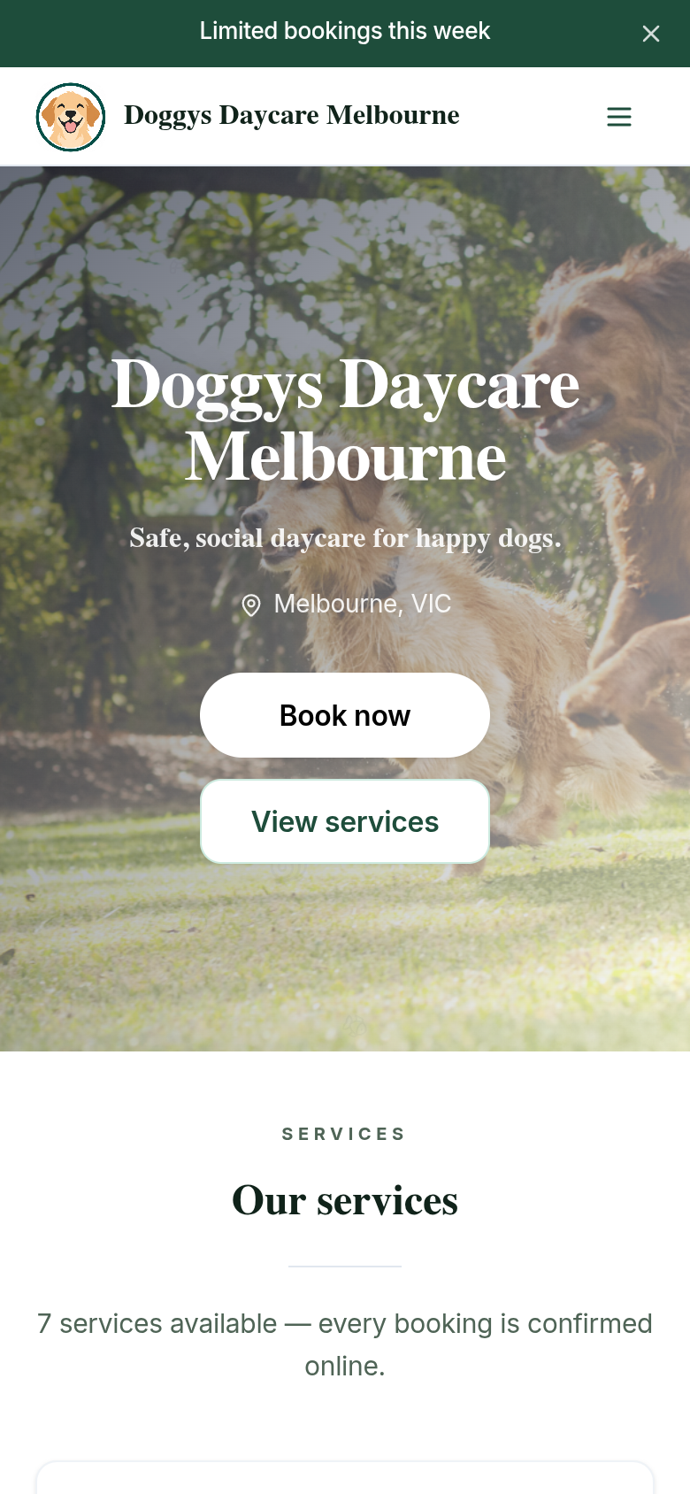 Doggy's Daycare — mobile view